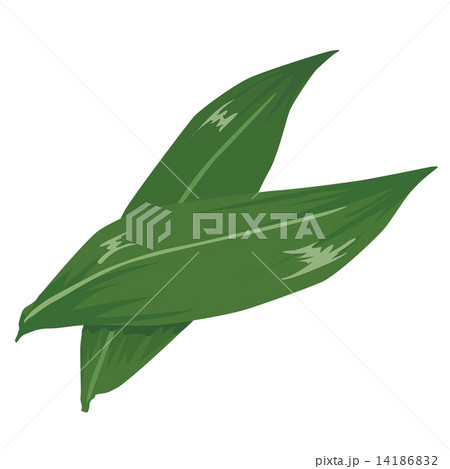 クマザサ クマザサ 14186832