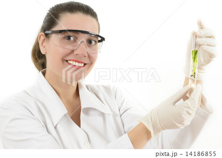 Woman Studying Plants in Laboratory 14186855
