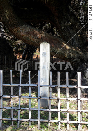 京都　久坂玄瑞自刃の地　鷹司邸跡 14187861