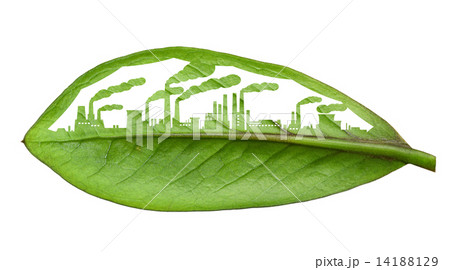 industrial city, cut the leaves of plants, isolated over white industrial city, cut the leaves of plants, isolated over white 14188129