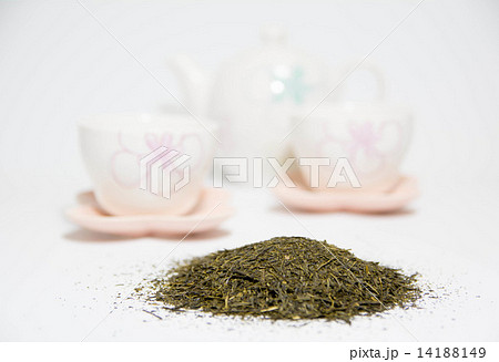 お茶 急須 お茶 急須 14188149