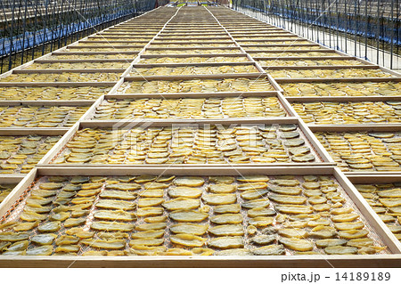 干し芋 乾燥芋 干し芋 乾燥芋 14189189