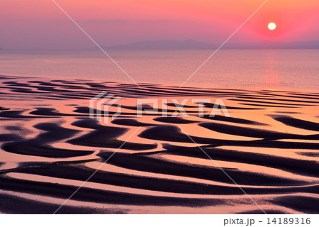 御輿来海岸 14189316