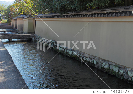 京都　上賀茂　明神川 14189428