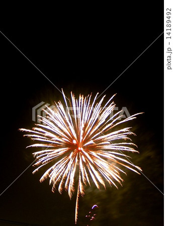 日本の夏の風物詩、打ち上げ花火 14189492