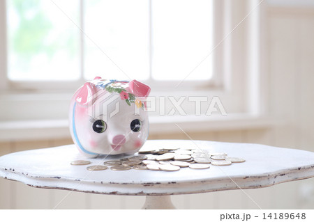 500円貯金 14189648