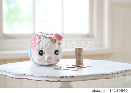 500円硬貨とブタの貯金箱 14189649