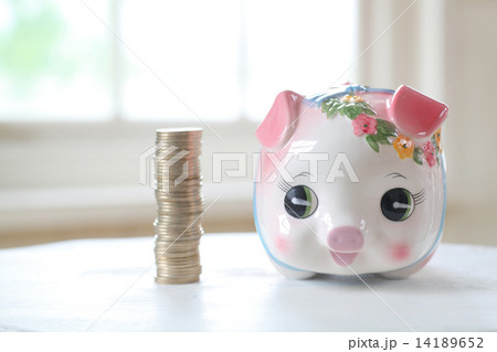 500円硬貨とブタの貯金箱 500円硬貨とブタの貯金箱 14189652