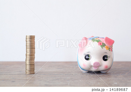 500円タワーと子豚 14189687