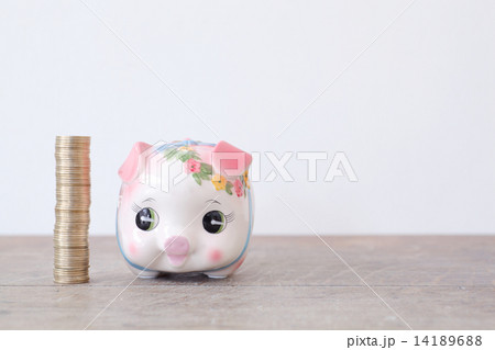 500円タワーと子豚 14189688