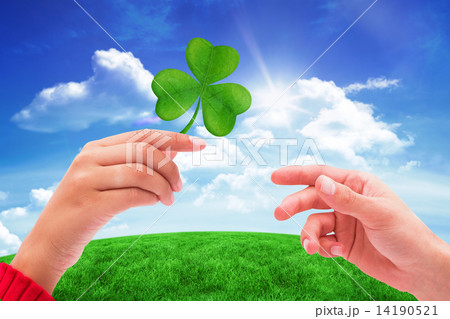 Composite image of shamrock 14190521