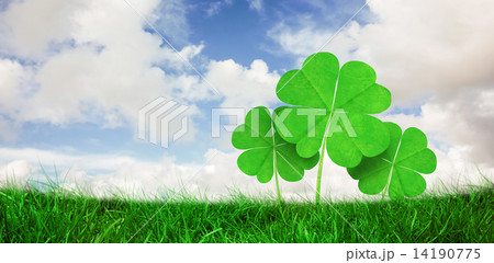 Composite image of grass Composite image of grass 14190775