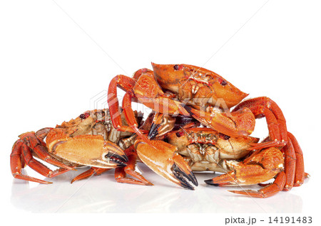 raw velvet crabs raw velvet crabs 14191483