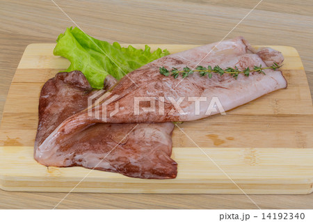 Raw squids Raw squids 14192340