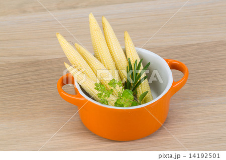 Baby corn Baby corn 14192501