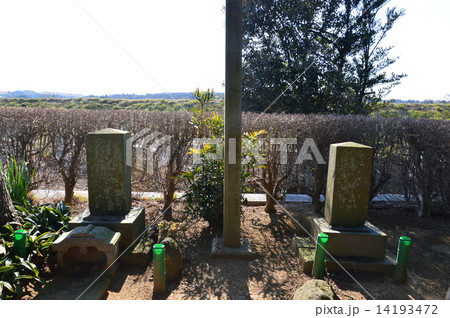 間宮林蔵の墓 左 専称寺 茨城県つくばみらい市上平柳5 の写真素材