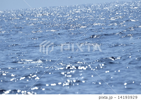 沖縄のキラキラ海面 14193929