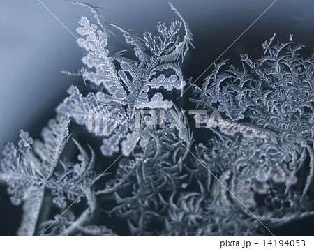 結晶(横・模様3) 14194053