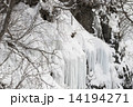 凍れる崖 凍れる崖 14194271