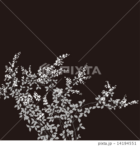 京文様 京文様 14194551