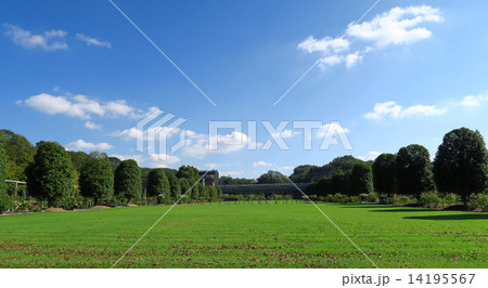 芝生広場 14195567