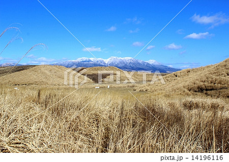 瀬の本高原と冬の九重連山 14196116