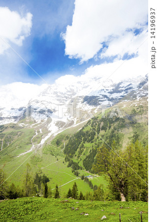 Upper Tauern National Park near Grossglockner, Carinthia and Eas Upper Tauern National Park near Grossglockner, Carinthia and Eas 14196937