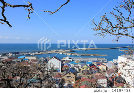 浦河町・津波避難場所からの風景 14197453