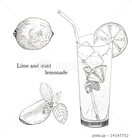 Lime and mint lemonade ink sketch set 14197752