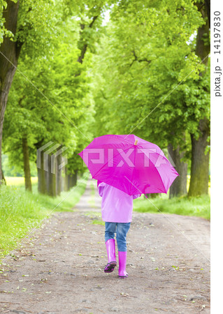 little girl wearing rubber boots with umbrella in spring alley 14197830
