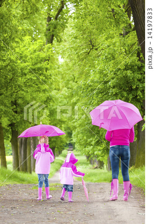 mother and her daughters with umbrellas in spring alley 14197833