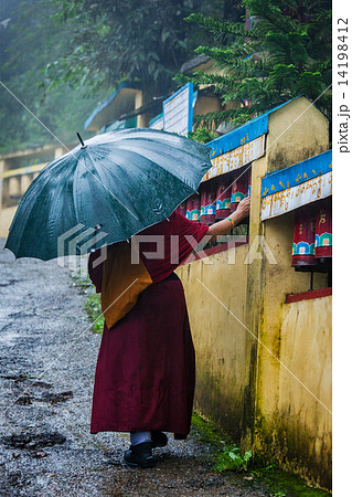 Buddhist monk with umbrella in McLeod Ganj Buddhist monk with umbrella in McLeod Ganj 14198412