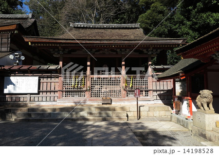 石清水八幡宮　若宮殿社 14198528