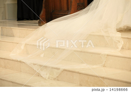 ベールの裾 14198666