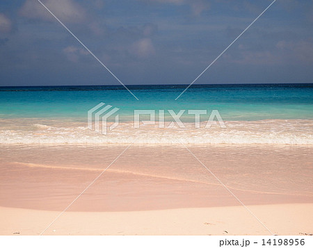 ピンクサンドビーチ 14198956