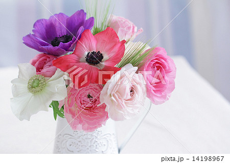 アネモネとラナンキュラス アネモネとラナンキュラス 14198967