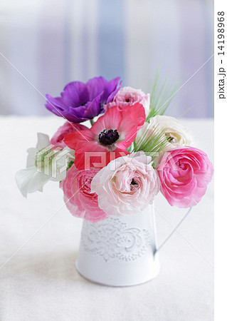 アネモネとラナンキュラス アネモネとラナンキュラス 14198968