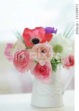 アネモネとラナンキュラスの写真素材