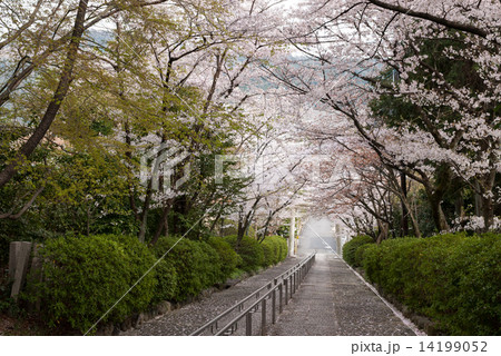 宗忠神社 宗忠神社 14199052