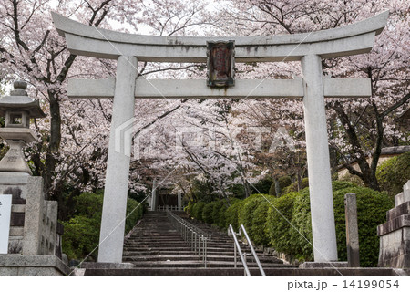 宗忠神社 宗忠神社 14199054