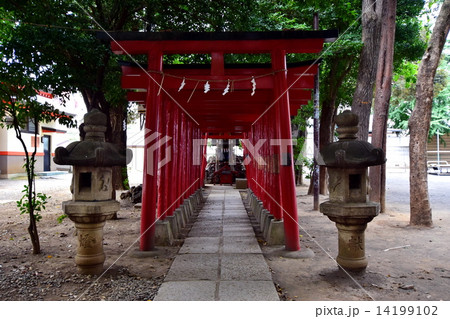 新宿総鎮守 花園神社 境内社 威徳稲荷神社 ( 東京都 新宿区 新宿 ) 新宿総鎮守 花園神社 境内社 威徳稲荷神社 ( 東京都 新宿区 新宿 ) 14199102