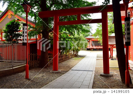 新宿総鎮守 花園神社 南参道 ・ 鳥居 ( 東京都 新宿区 新宿 ) 新宿総鎮守 花園神社 南参道 ・ 鳥居 ( 東京都 新宿区 新宿 ) 14199105