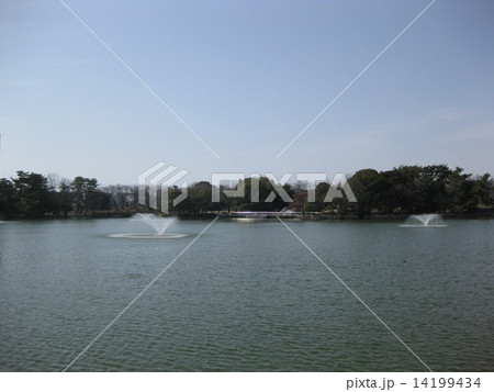 三崎池(三崎水辺公園)の噴水 三崎池(三崎水辺公園)の噴水 14199434