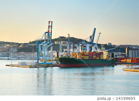 Shipping to Italy Shipping to Italy 14199605