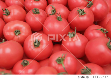 Background with fresh vegetables Background with fresh vegetables 14199737