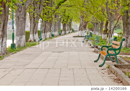 long tree alley long tree alley 14200166