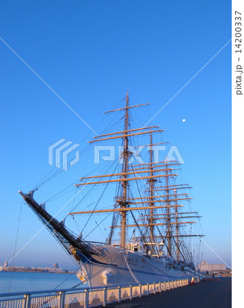 海王丸 海王丸 14200337