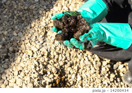 Oil sands development from an oil drilling district. The hand on the oil sands. Operator take oil sa 14200434