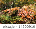 山形県の山寺(立石寺) 紅葉です 14200910