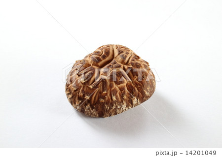 しいたけ しいたけ 14201049